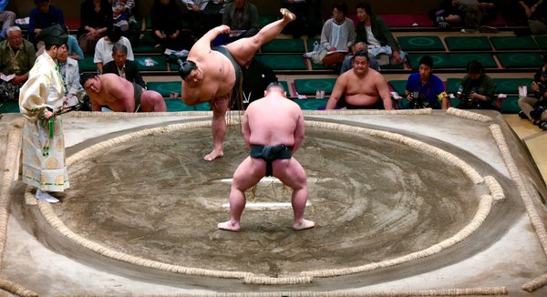Le sumo féminin : Redéfinition d'un sport traditionnel
