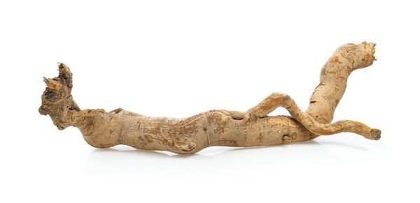 Tongkat ali : quel dosage appliquer pendant un programme de musculation ?